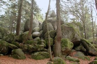 Das Bild zeigt mehrere unterschiedlich große Felsblöcke, die übereinander geschichtet in einem Wald liegen. Die unteren Blöcke sind flach und stark mit Moos bedeckt. Links der Bildmitte wurzelt ein Baum auf einem der Felsen.