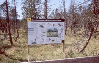 Das Bild zeigt eine Moorlandschaft mit zahlreichen Bäumen, teilweise auch abgestorbenen Exemplaren. Im Vordergrund steht eine dazugehörende Hinweistafel.