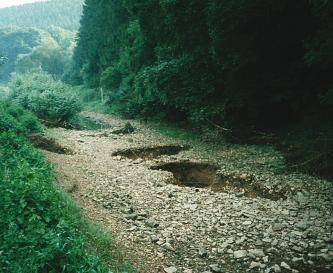 Umgeben von Gebüsch und dichtem Wald schiebt sich eine Schotterzunge dem Vordergrund entgegen, unterbrochen von einer Wasserstelle hinten links sowie löcherartigen Bodenvertiefungen mittig und rechts. 