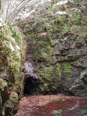 Blick auf eine stark bewachsene Felswand mit einer Höhlenöffnung links unten.
