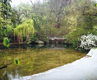 Das Bild zeigt eine grünliche, von Uferwegen und Bäumen eingefasste ruhige Wasserfläche. Im Hintergrund ist eine kleine Brücke sowie ein bewaldeter Hang erkennbar.