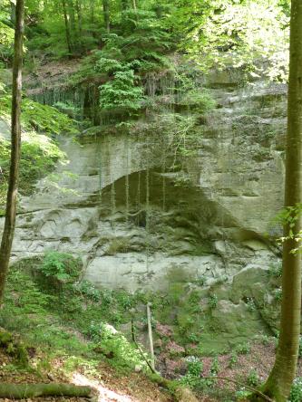 Blick auf eine hohe Felswand an einem Waldhang. Der Fels ist grünlich grau und teils bewachsen. In der Bildmitte ist eine größere, oben gerundete Nische in der Felswand erkennbar.