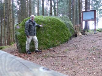 Erratischer Block Heiliger Stein auf einem Endmoränenhügel bei Kißlegg-Waltershofen Blick auf einen fast zwei Meter hohen, rechteckigen bemoosten Felsblock, der auf einem leicht nach rechts ansteigenden Hang liegt. Ein Mann in grauer Jacke stützt sich am Felsen ab. Im Hintergrund, vor einer Waldkulisse, steht eine Schautafel.