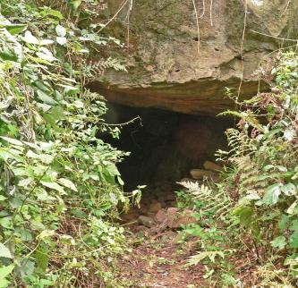 Blick auf eine von Farnen und Sträuchern eingefasste Felswand, an deren Fuß sich eine dunkle, niedrige Höhle öffnet.