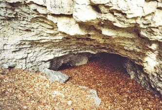 Hohler Stein östlich von Unterkochen Abwärts gerichteter Blick auf eine nach innen gewölbte, gelblich weiße Felswand. Am unteren Ende der Felsen öffnet sich eine breite Höhle. Lose Felstrümmer und abgefallenes Laub liegen vor dem Eingang der Höhle.