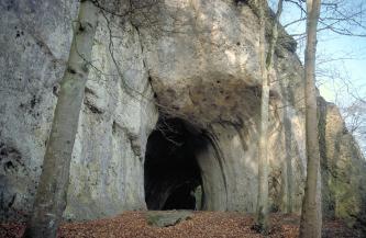 Blick auf eine hohe, rechts vorgewölbte graue Felswand. Unter der Wölbung ist eine Höhle sowie ein zweiter Eingang sichtbar. Im Vordergrund stehen drei hohe, schlanke Bäume.