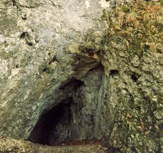 Blick auf eine grünlich graue Felswand, in der sich links, nach einem leicht kurvigen Gang, eine Höhle öffnet.
