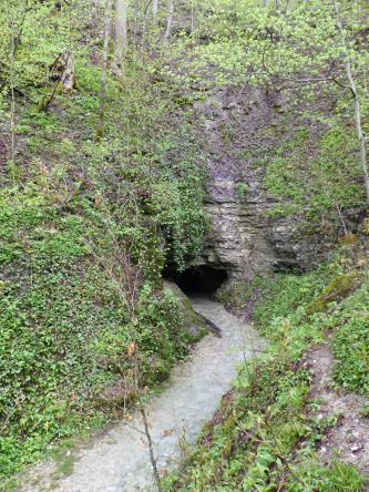 Am Fuß einer fast zugewachsenen Felswand öffnet sich eine kleine, gerundete Höhle, aus der Wasser austritt. Dieses Wasser fließt nach einem linksseitigen Knick in einem schmalen Bett zwischen Böschungen abwärts.