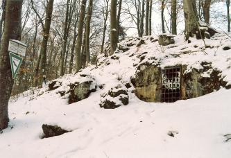 Das Bild zeigt einen mit Schnee bedeckten, nach links abfallenden felsigen Waldhang. Rechts oben, in einem größeren Felsen, öffnet sich eine Höhle. Der Eingang ist mit einem Gitter versperrt.