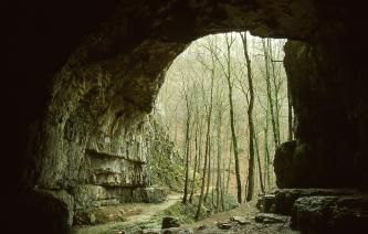 Das Bild zeigt den Eingangsbereich einer Höhle. Der Blick geht dabei vom Inneren der Höhle durch das hohe gewölbte Portal hinaus ins Freie. Links vom Ausgang läuft ein Pfad weiter, daneben stehen schlanke Bäume.