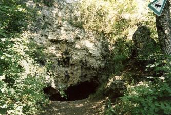 Die Barnberghöhle am Albtrauf südöstlich von Neuffen Blick auf den flach ovalen Eingang zu einer Höhle, am unteren Ende einer hellgrauen, stark zugewachsenen Felswand.