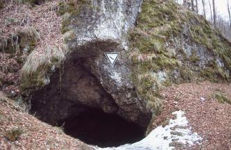 Am unteren Ende einer Felswand, die links und rechts mit Moosen und Flechten bewachsen ist, öffnet sich der tiefe Schlund einer Höhle. Ein kleines Schild am Eingang weist die Höhle als Naturdenkmal aus.