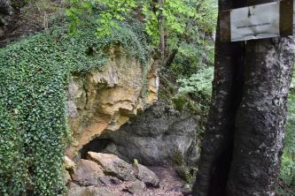 Blick auf eine links der Bildmitte befindliche, von vorspringenden, stark bewachsenen Felsen fast verdeckte kleine Höhle. Höhle und Felsen liegen am unteren Ende eines steilen Waldhanges.