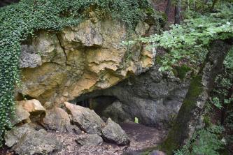 Eingang zur Schillerhöhle bei Bad Urach-Wittlingen Blick auf den seitlichen Eingang zu einer Höhle, versteckt unter gelblichen bis dunkelgrauen Felsen.