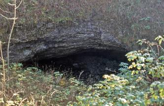 Der Hohle Stein – Eine Höhle im Unteren Massenkalk südwestlich von Laichingen Blick auf den leicht gewölbten Eingang zu einer Höhle, halb verdeckt von im Vordergrund wachsenden Pflanzen. Das dunkelgraue Felsgestein über dem Höhleneingang ist von oben her stark bewachsen, so dass nur wenig davon sichtbar ist.