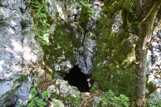 Hohler Stein bei Mehrstetten Leicht abwärts gerichteter Blick auf den kleinen, dreieckigen Eingang einer Höhle am unteren Ende einer hellgrauen, mittig und rechts stark bemoosten Felsformation.