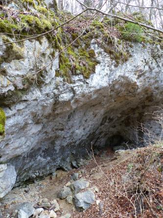 Seitlicher Blick auf den Eingang einer Höhle. Die Höhle befindet sich am unteren, nach innen abknickenden Ende einer Felswand. Der hellgraue Fels ist oben bemoost und bewachsen. Vor der Höhle liegen Steine und altes Laub.