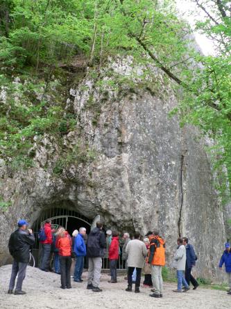 Blick auf eine senkrecht aufragende, graue Felswand, die im oberen Bereich bemoost und mit Bäumen bewachsen ist. Am Fuß der Felswand ist der vergitterte Eingang zu einer Höhle erkennbar. Eine Besuchergruppe wartet vor dem Höhleneingang.