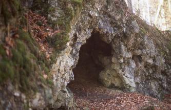 Seitlicher Blick auf einen felsigen, nach rechts abfallenden Waldhang. In der Bildmitte befindet sich der dreieckige Eingang zu einer Höhle.