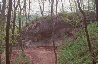 Blick auf einen nach links abfallenden, länglichen Felshang. Der Fels ist rötlich gefärbt und oben mit Bäumen bestanden. Im Fels ist eine auffällige, an ein Auge erinnernde Vertiefung erkennbar.