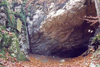 Blick auf eine stark bewachsene, links zum Vordergrund hin abknickende Felswand. Nach rechts hin öffnet sich der fast dreieckige Eingang zu einer Höhle. 