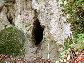 In hellgrauem, rechts bewachsenen Felsgestein öffnet sich in der Bildmitte eine senkrechte Höhlenspalte. Links unten, vor dem Eingang der Höhle, hat sich ein rundlicher Felsknoten gebildet, der mit Moos bedeckt ist.