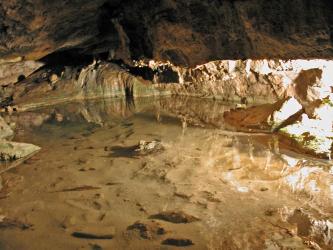 Das Bild zeigt einen kleinen flachen Höhlensee mit tiefhängender Decke. Das klare Wasser des Sees erlaubt einen guten Blick auf den Seegrund.