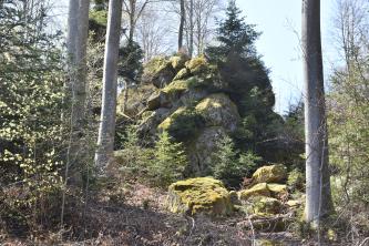 Blick auf eine aus mehreren Einzelfelsen zusammengesetzte Felsformation. Die Felsen stehen in einem Wald zwischen hohen Bäumen. Das Gestein ist teilweise gerundet und bemoost. Einzelne Stücke liegen auf dem Boden verstreut.