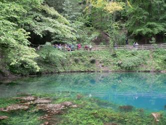 Der Blautopf bei Blaubeuren zieht zahlreiche Besucher an Das Bild zeigt eine türkisfarbene Wasserfläche, auf der Pflanzenreste schwimmen. Auch unter Wasser sind Pflanzen zu erkennen. Das rückseitige Ufer besteht aus einer steilen, bewachsenen Böschung. Ein von Bäumen beschatteter Wanderweg führt darauf entlang.
