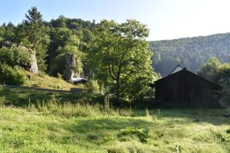 Oberhalb einer grünen Wiese, auf einer nach links ansteigenden Böschungen stehen mehrere Felstürme und Bäume. Rechts ist eine Holzhütte zu sehen.