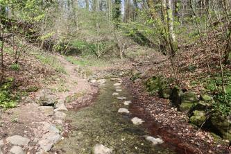 Der Schussen-Ursprung nördlich von Bad Schussenried Blick auf einen schmalen Wasserlauf, der an einer niedrigen, mit Steinen gestützten Böschung endet. Links und rechts des Bachlaufs sowie im Hintergrund steigen Böschungen auf, die aus Gebüsch, dünnen Bäumen und Gestein bestehen.