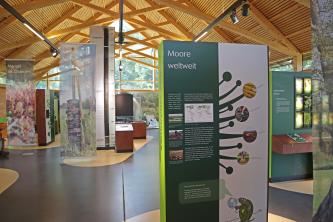 Blick in den Ausstellungsraum des Naturschutzzentrums Wilhelmsdorf. Der Raum enthält Schautafeln, Schaukästen und Bildfahnen. Die Decke besteht aus Holz.