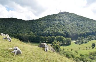 Blick vom Hohenbol nach Südosten zum Teckberg mit dem Aussichtsturm Blick auf einen welligen, rechts höheren bewaldeten Bergkegel mit Aussichtsturm. Im Vordergrund links verläuft eine schräg abfallende Wiese, auf der einzelne kleine Felsen hervorstehen.