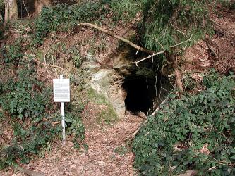 Das Bild zeigt das Einstiegsloch zu einem Stollen an einem Waldhang. Links steht eine Informationstafel.