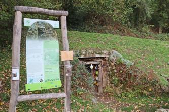 Stollenmundloch am Eingang des Silberbergwerks Grube Erich bei Waldkirch-Suggental In der Bildmitte, am unteren Ende eines nach links ansteigenden Wiesen- und Waldhanges, befindet sich der Stolleneingang zum ehemaligen Silberbergwerk Grube Erich bei Waldkirch. Der Eingang ist vergittert. Links daneben steht eine große Informationstafel.