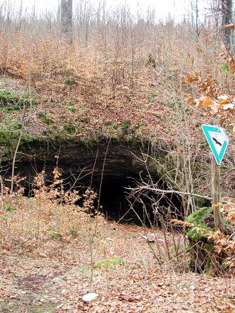 Unterhalb eines mit Bäumen, Sträuchern und trockenem Laub bedeckten Hanges öffnet sich eine größere Höhle. Ein Schild rechts weist die Höhle als Naturdenkmal aus.