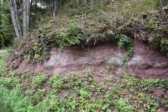 Das Foto zeigt das untere Ende eines Waldhanges mit rötlich grauem, aufgeschlossenem Gestein. Vom Boden her wachsen Pflanzen am Gestein hoch.