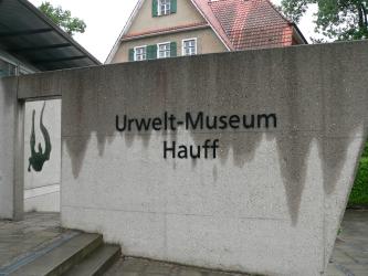 Blick auf den Eingangsbereich des Urwelt-Museums Hauff. Dieser besteht aus einer hohen Betonmauer mit linksseitigem Durchgang. An der Mauer ist der Schriftzug des Museums angebracht.