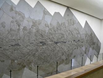 Seitlicher Blick auf in Gesteinsplatten konservierte Seelilien. Die fossilen Pflanzen bedecken eine ganze Wand im Urwelt-Museum Hauff.