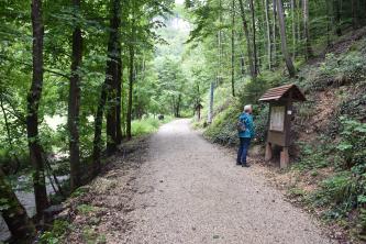 Blick auf einen Wanderweg, der zwischen einem Waldhang rechts und einem von Bäumen gesäumten Bach links entlangführt. Am Fuß des Waldhanges steht eine große Informationstafel aus Holz.