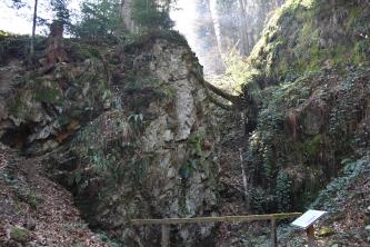 Blick auf einen steilen und felsigen, rechts ansteigenden Waldhang. Die Felsen sind teils stark überwachsen. Im Vordergrund unten, hinter einer Absperrung, ist eine Höhle erkennbar.