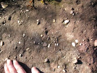 Nahaufnahme von rötlich braunem Sand und kleinen darin eingelagerten Steinen. Die Finger einer Hand links unten dienen als Größenvergleich.