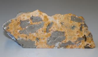 Nahaufnahme eines Gesteinsstückes mit geradem Boden und gezacktem Umriss. Die Farbe des Gesteins ist orangegelb, mit eingelagerten hellgrauen Bruchstücken.