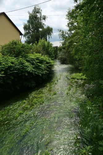 Blick auf einen schmalen Wasserlauf. Das Flussbett ist im Vordergrund mit Grünpflanzen durchsetzt. An beiden Ufern stehen teils überhängende Bäume und Gebüsch. Links ist zudem ein Gebäude erkennbar.
