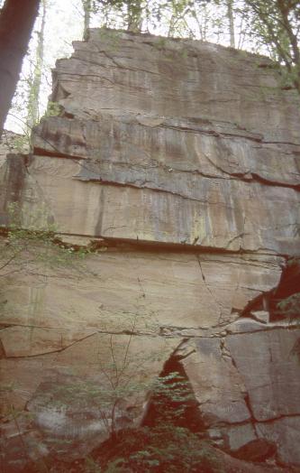Aufwärts gerichteter Blick auf eine ehemalige Steinbruchwand. Die hohe, bräunlich graue Gesteinswand ist im unteren Bereich dickbankig, nach oben hin dünner geschichtet. Der obere linke Rand ist zudem gebrochen.