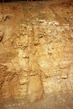 Hauptrogenstein-Formation (jmHR): Steinbruch der Fa. Marmorit, Bollschweil Blick auf eine Steinbruchwand mit senkrecht verlaufender, schlotartiger Vertiefung. Die Farbe des Gesteins reicht von hellem Ocker bis zu dunklerer Färbung am linken Rand und oben.