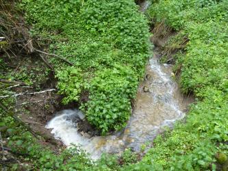 Blick von oben auf einen strudelförmigen Bachlauf, dessen Wasser in einer Vertiefung des Erdreiches (links unten im Bild) verschwindet. Der Bach ist von Grünpflanzen gesäumt.