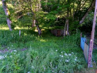 Blick auf ein dunkles, gemauertes Gebäude ohne Fenster. Es steht geduckt vor einem aufsteigenden, bewaldeten Hang. Im Vordergrund breitet sich eine naturbelassene, blühende Wiese aus. Ganz rechts ist ein Zaun erkennbar.