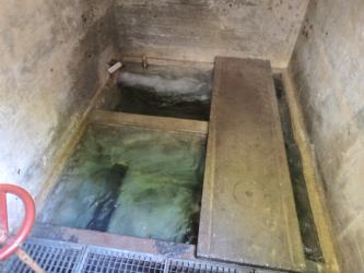 Nach unten gerichteter Blick auf ein Sammelbecken von Quellwasser mit betonierten Schachtwänden. Im hinteren Teil der linken Schachtwand strömt durch ein Rohr frisches Wasser herein.