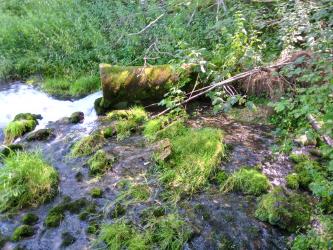 Nahaufnahme von Wasseraustritt aus einem horizontal liegenden Metallrohr. Das Wasser tritt zum linken Bildrand hin aus, fließt jedoch auch zum Vordergrund, zwischen Moosinseln, hinunter.